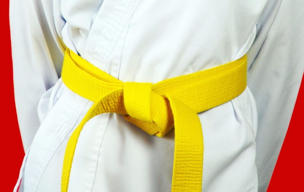 LSS Kansas -Lean Six Sigma Yellow Belt